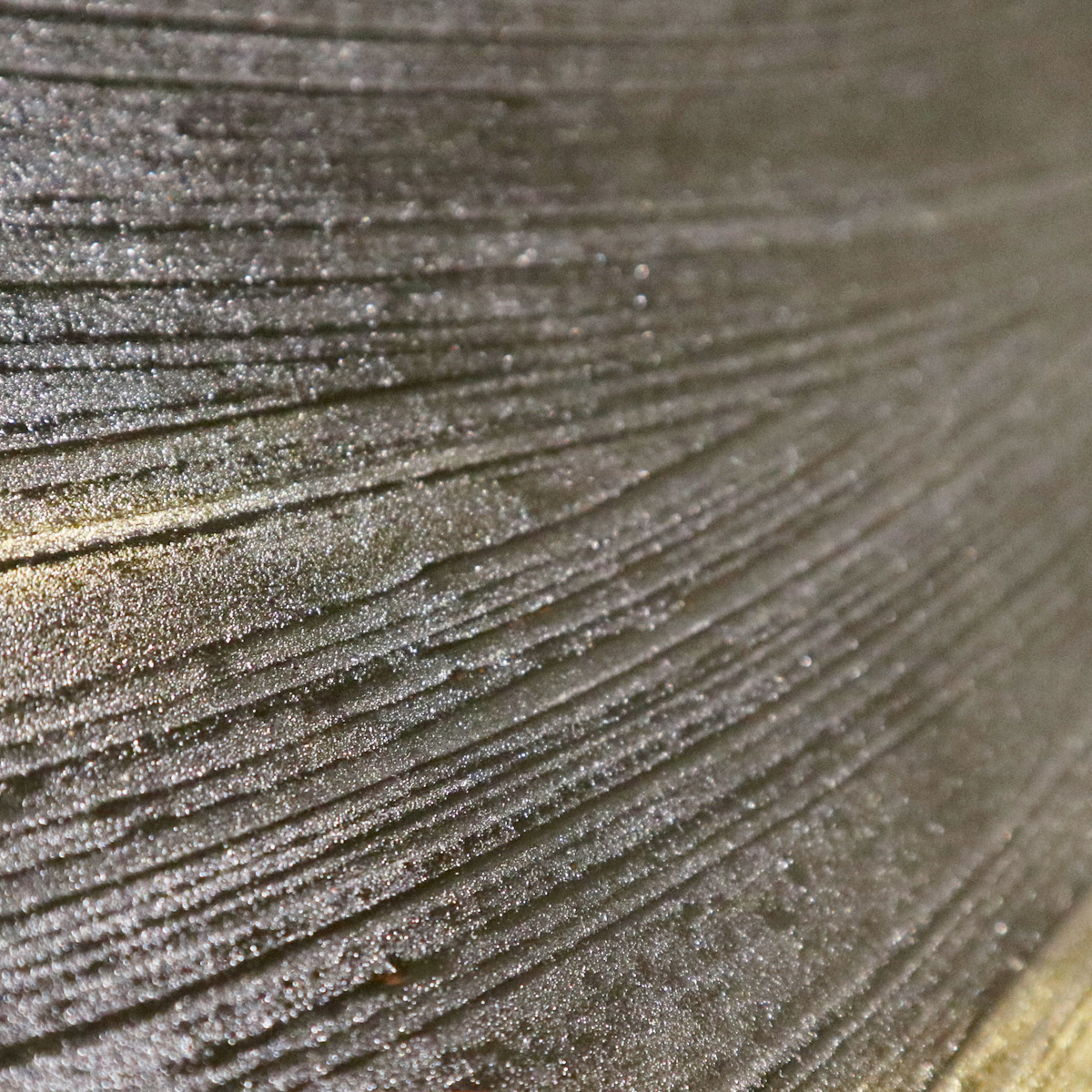 井ノ口貴子作品3