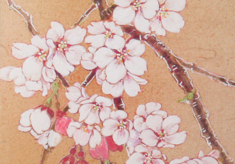 横尾英子・日本画・桜