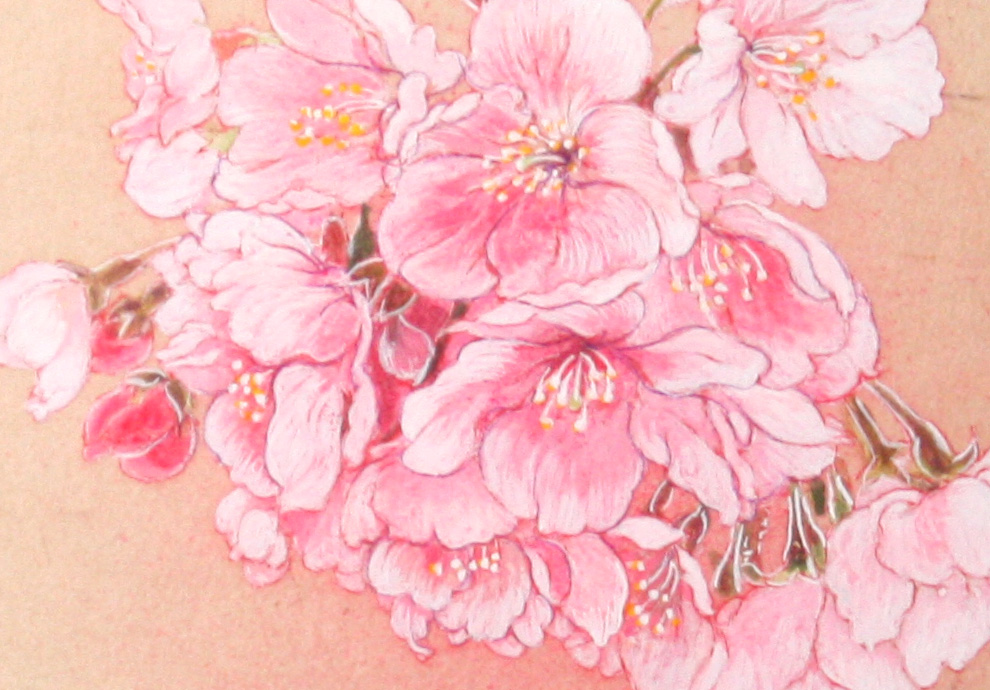 横尾英子・日本画・桜