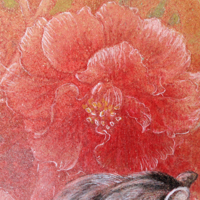 横尾英子・陽光写真